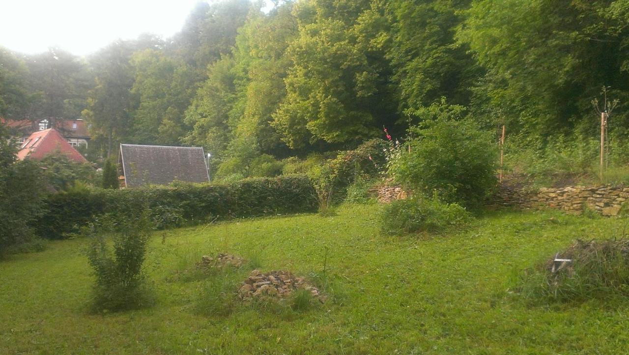 Ferienwohnungen Blume Am Schlossberg باد بيركا المظهر الخارجي الصورة